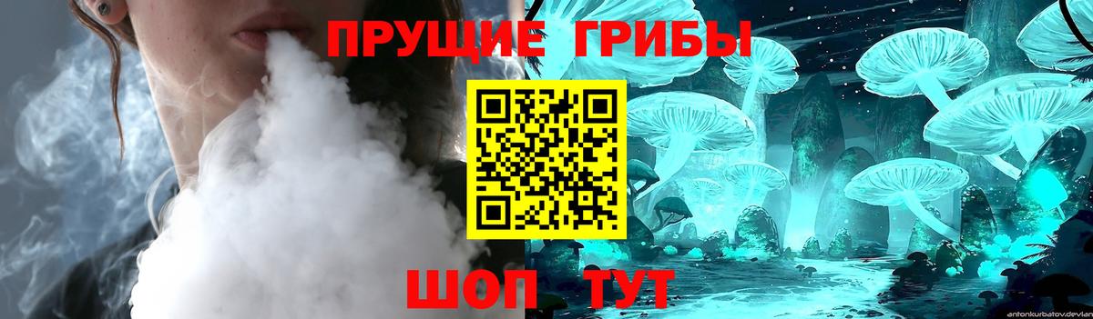 Псилоцибиновые грибы MAGIC MUSHROOMS  Вход с VPN  Коряжма 